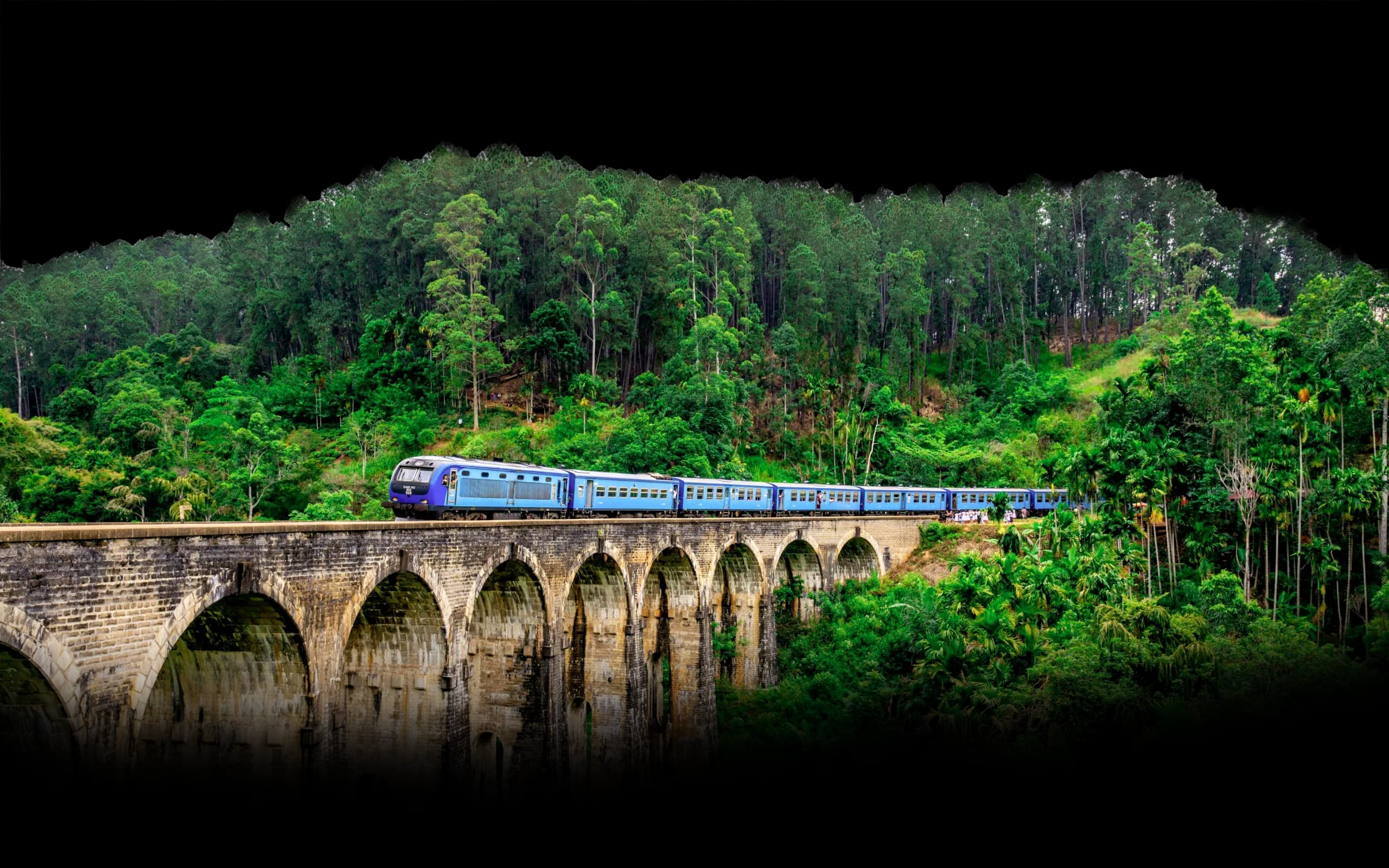 A blue train crossing the Nine Arch Bridge at Ella through thick green forest