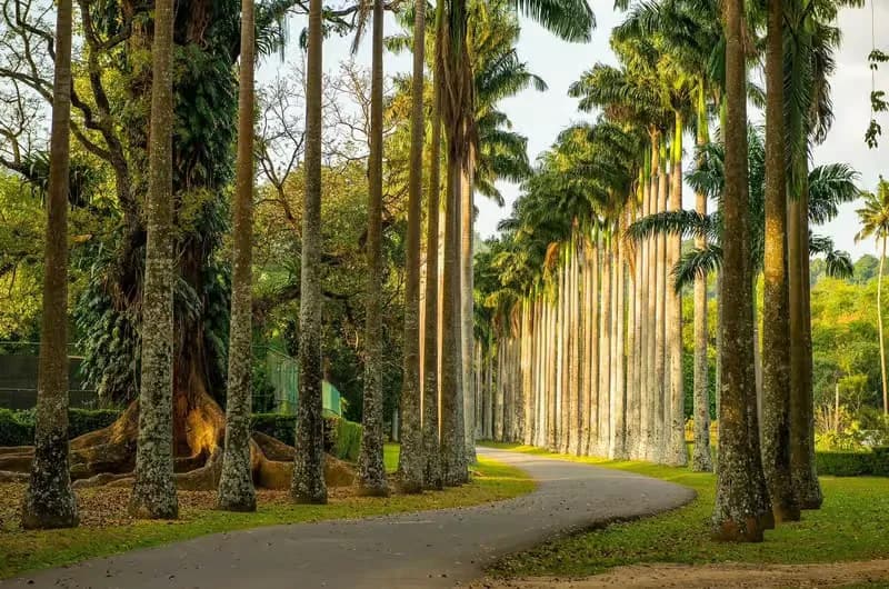 kandy