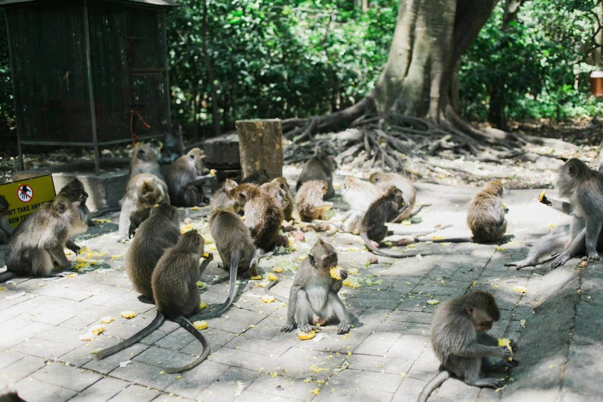 15 Different Sri Lanka Tour Packages: Which One Fits You?