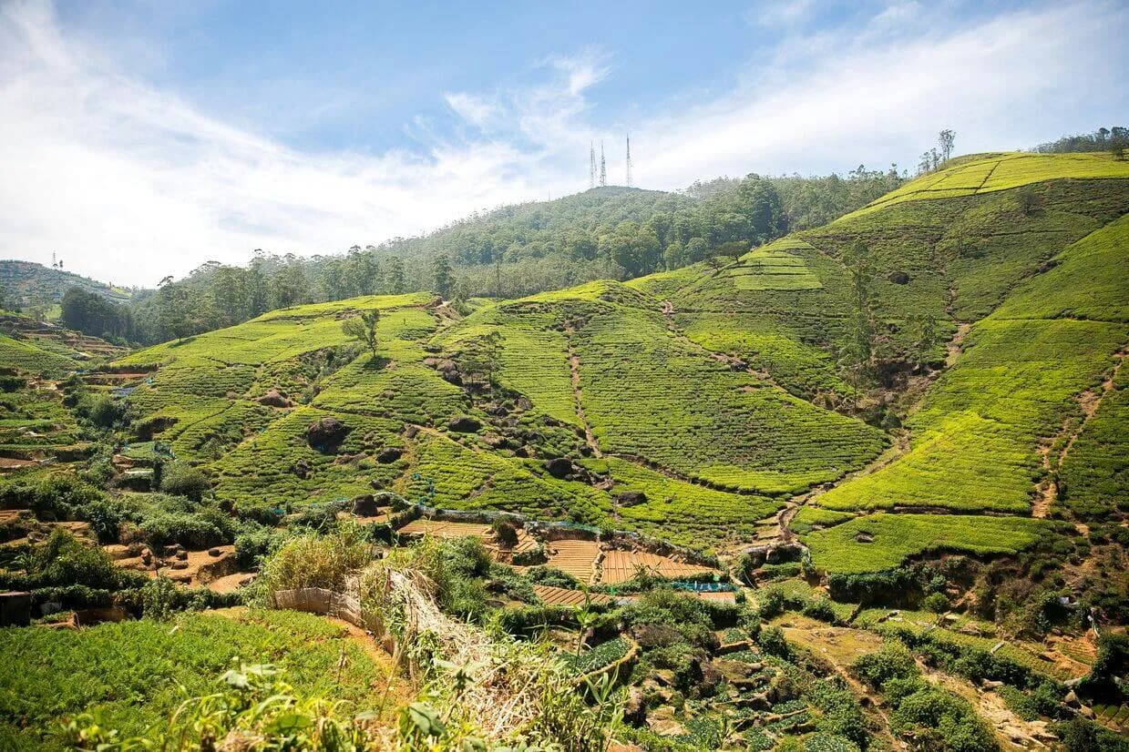 Your Guide to a One-Day Ambuluwawa Tour from Kandy