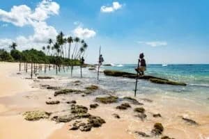 Galle