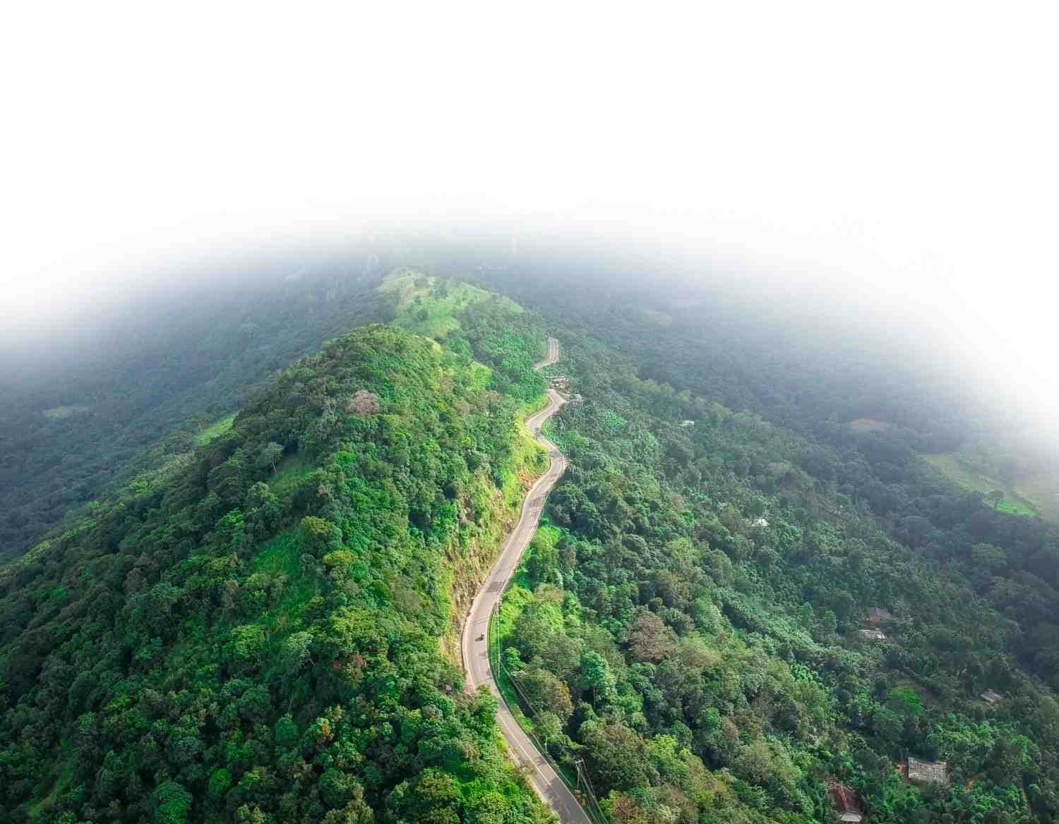 A road winding along a forested ridge, rising out of the mist in the Sri Lankan hills