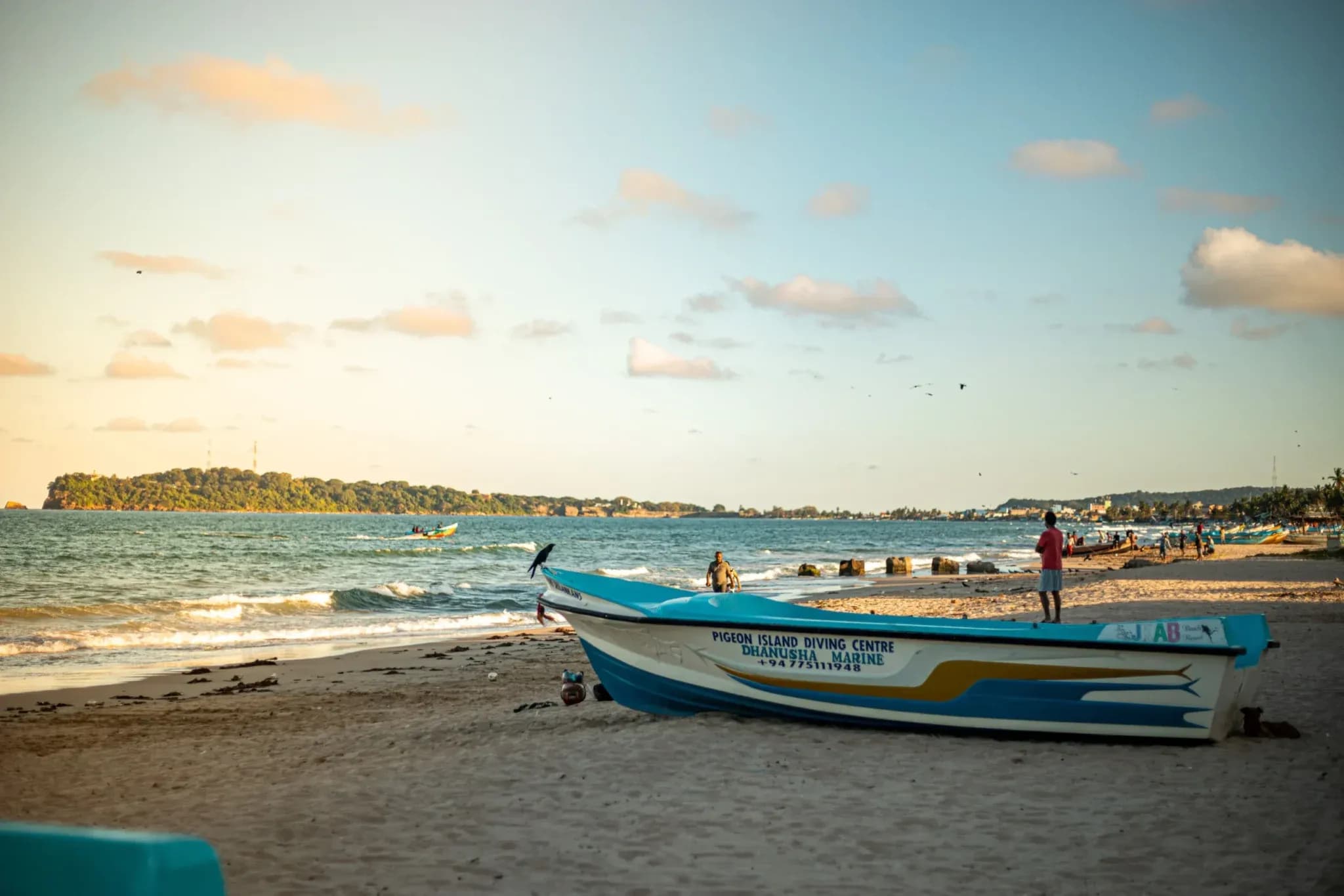 Whale Watching in Trincomalee