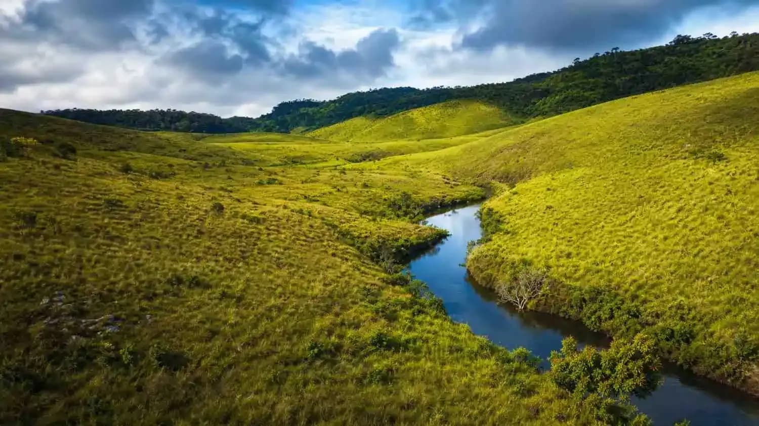 Horton Plains